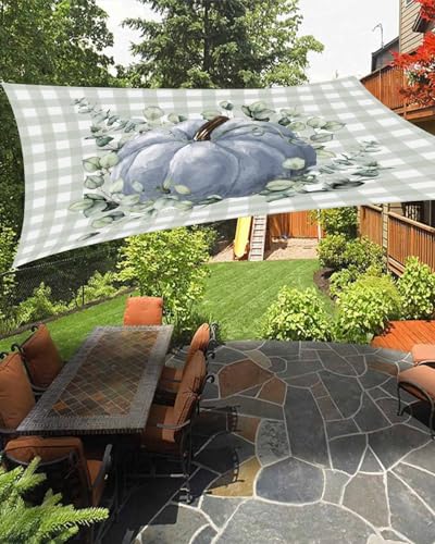 Boanket Sun Shade Sail 8' x 10', Fall Pumpkin Rectangular Waterproof Outdoor Sun Shades, Blue Pumpkin Eucalyptus Leaves Plaid Shade Cloth for Patio Deck Terrace Garden Lawns Beach Backyard