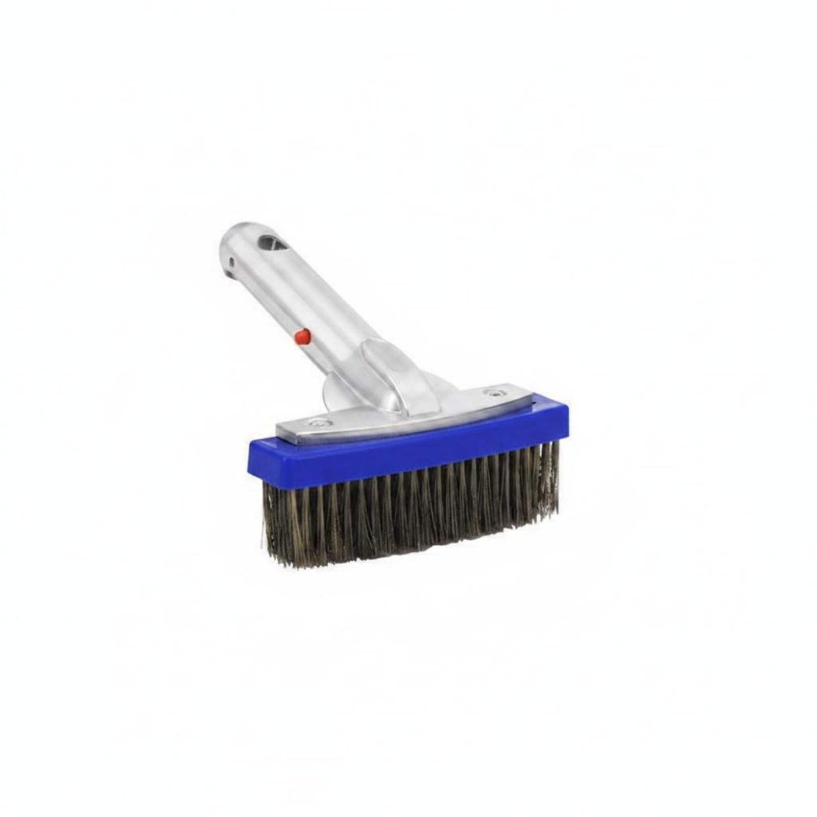 Stainless Steel Handle Algae Brush Heavy Duty Pool Brush Long-Lasting Rust Resistant, 5.5 Inch, Aluminum Handle | Home & Garden | Yard, Garden & Outdoor Living | Pools & Spas-picture-43