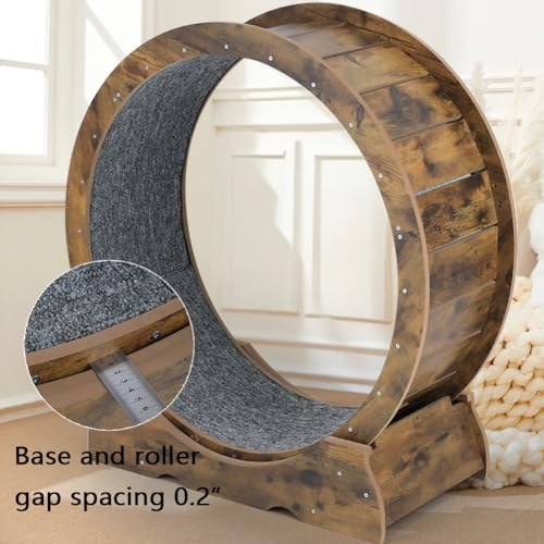 ARADNEO Roda de exercício para gatos, roda de corrida para gatos, exercício de roda de gato grande p