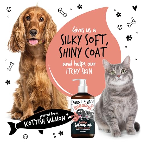 Bugalugs Scottish Salmon Oil For Dogs & Cats, Dog Supplement Support for Skin And Coat, Itchy Skin & Moulting, Omega 3 Fish Oil (520ml, Salmon) - Image 5