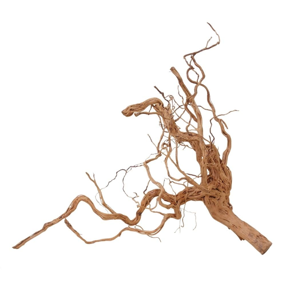 AquaOne Decorazione per acquario, radice di drago, misura XL, in vero legno, n. 2174, decorazione per piante e paesaggio, muschio naturale