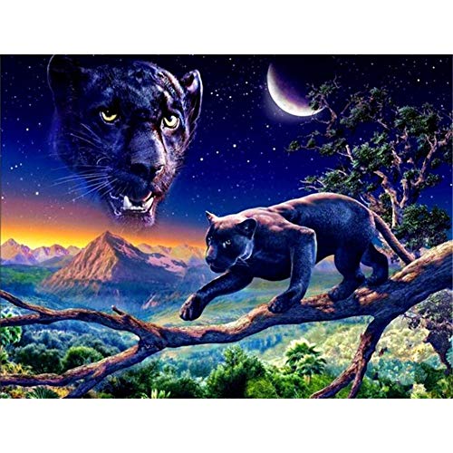 Kit Peinture Diamant 5D Léopard la Nuit Carré 60x80 cm - 2