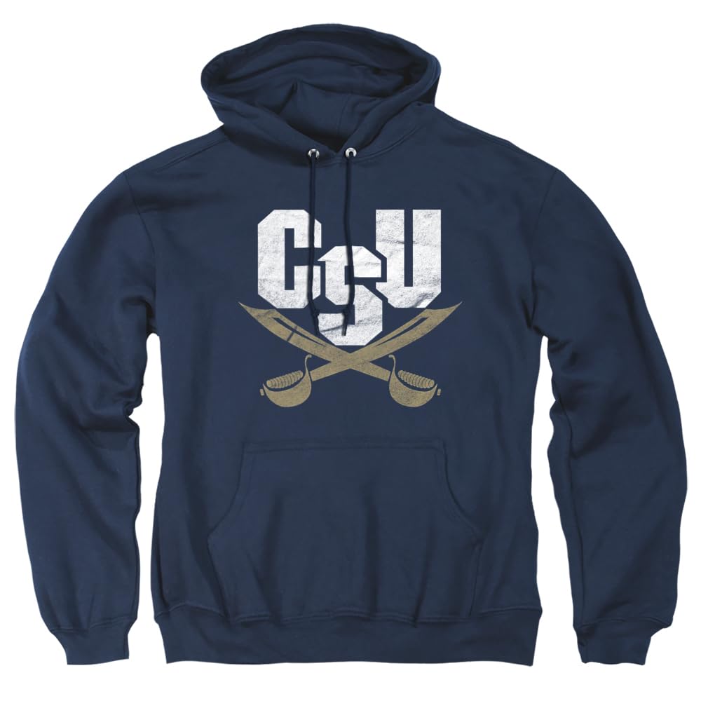 LOGOVISION Official Collegiate Distressed Primary Logo Adult Pullover Hoodie Collection — view 146