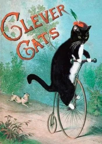 Pass B6 with Envelope Smart Cats