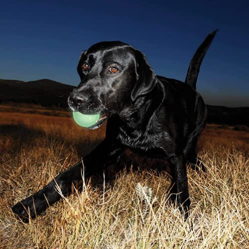 image for Chuckit! Glow in the Dark Bouncy Balls - Ball for Dogs, Chuckit Dog To