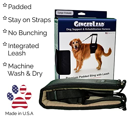 Gingerlead Dog Sling Support Harness, Lg Female Fits Big Dogs Over 65 Lbs. Padded Rear Lift With Integrated Leash To Assist Senior K9S, Or Recovery From Knee/Tplo, Hip Or Back Surgery. Made In U.s.a. #TOP1