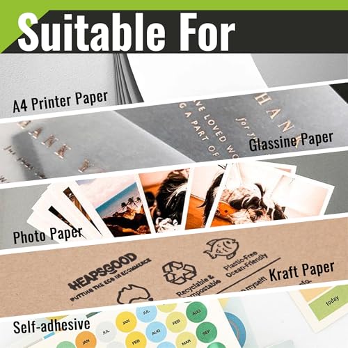 kamo 502 XL Druckerpatronen Kompatibel mit Epson 502 502XL Patronen Multipack (6er-Pack), für Expression Home XP-5100 XP-5105 XP-5150 XP-5155, Workforce WF-2860DWF WF-2865DWF WF-2880DWF WF-2885DWF