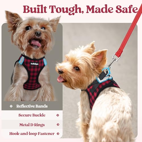 Image of rabbitgoo Dog Harness Small Sized and Leash Set, Step-in Puppy Pet Vest