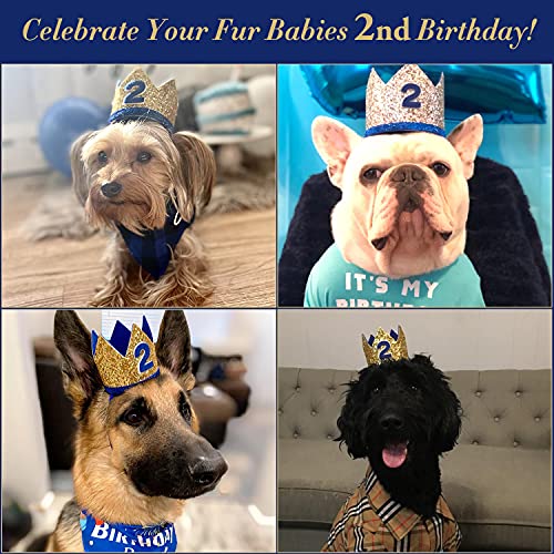 Cofashion 2 Birthday Hats 2 Years Old Party Hats For Boys Dog Birthday Crown 2Nd Birthday Crown Boy 2Nd Birthday Hat For Kids (1 Mini Blue 2Nd Birthday Crown+10 Blue Latex Balloons For Party) #TOP2