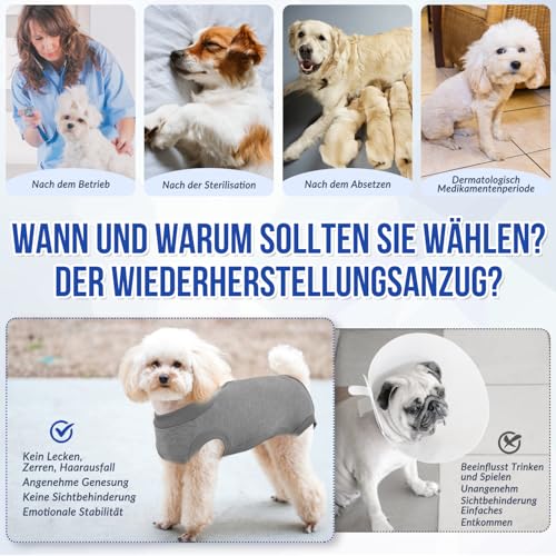 Eyein Hundebody Nach Op, Atmungsaktiver und bequemer Einteiler für Hunde mit Verstellbarer Klettverschluss, Wundschutzanzüge für Hunde zur Verhinderung von Lecken - E-Halsband-Alternative (Grau, M)