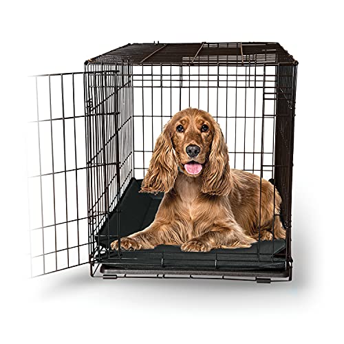 everila dog crate