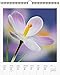 Flowers Page-A-Week Gallery Wall Calendar 2019