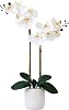 Nearly Natural 26in. Artificial Double Orchid Phalaenopsis with Decorative Vase Real Touch