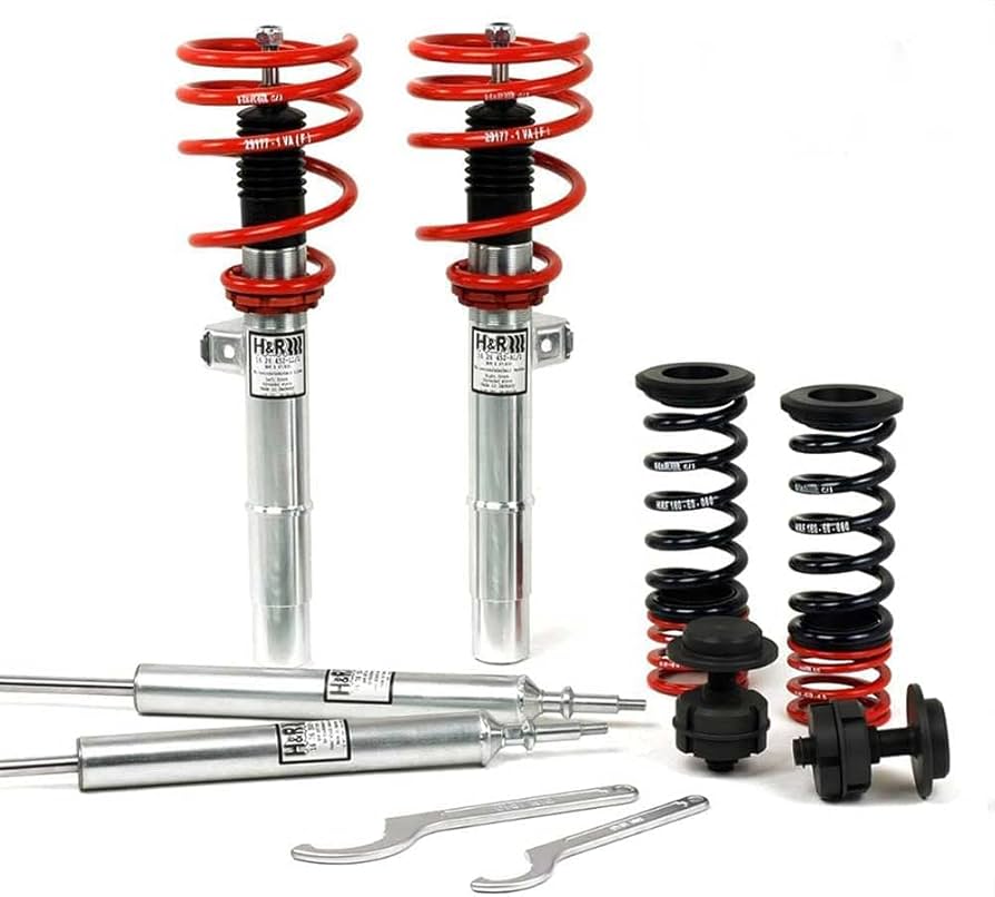 Amazon.com: H&R Springs 28895-6 : Automotive