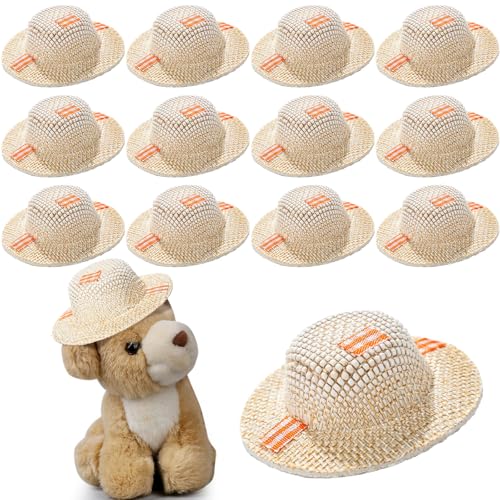 Soulchen 12 Pcs Mini Straw Hat for Craft Fall Brown Miniature Burlap Mini Scarecrow Hats for Crafts Floral Arranging, Centerpieces, Autumn Fall DIY Decor, 2.5 x 1 Inches