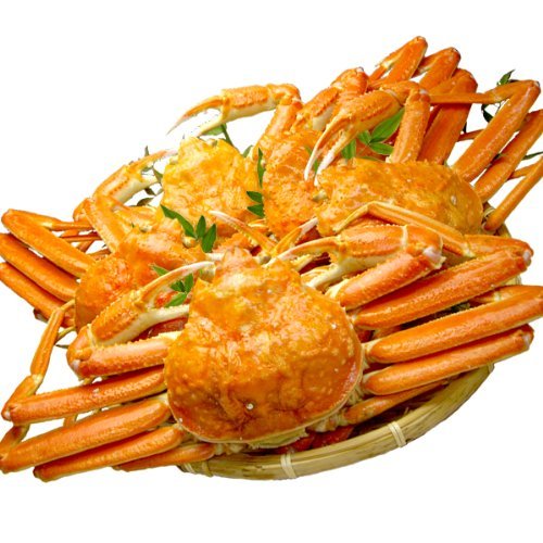 󂠂 {C 킢I YCKjp 3.0kg 1t600gO×5t