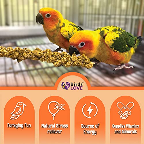 Birds Love Wholesome & Lovely Spray Millet Non-Gmo No Pesticide (No Stems Only Edible Tops) For Parrots Birds Cockatiel Lovebird Keets Finch Canary All Parrots Healthy Treat-5Lbs… #TOP3