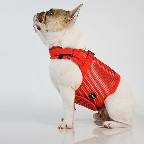 Martingale Dog Harness, Small, Strawberry Red