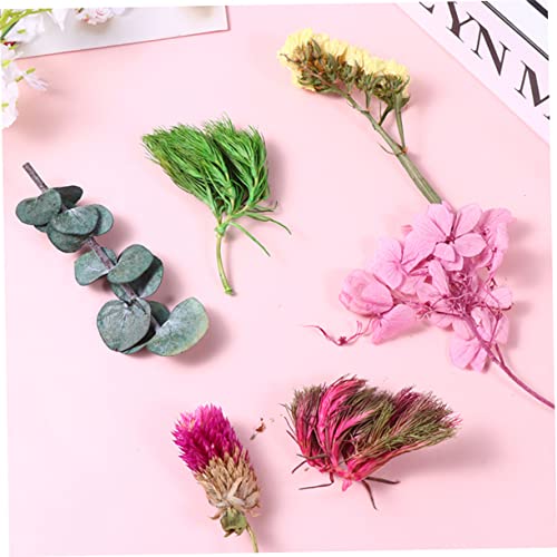 Flores Secas para Manualidades y Decoración miniatura 3