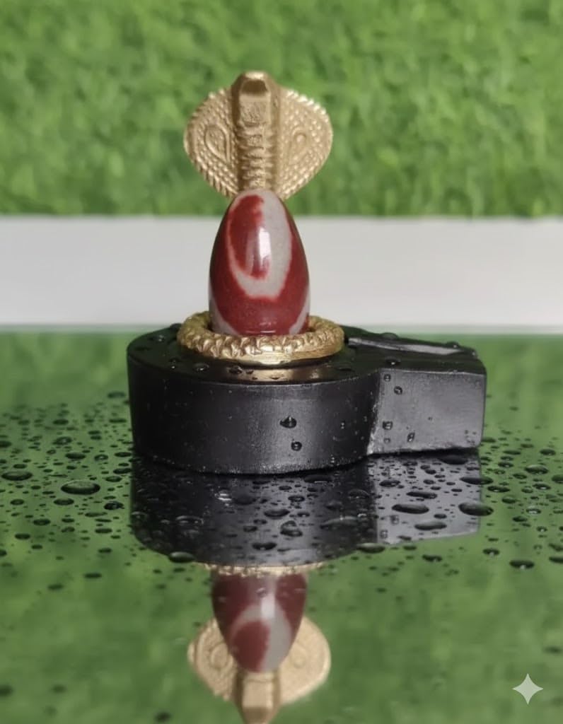 Narmadeshwar Shivling Mahakal Natural Tilak Original Narmada River Shivaling Shiva Lingam Narmada Lingam Banalingam Shivling and Brass Naag