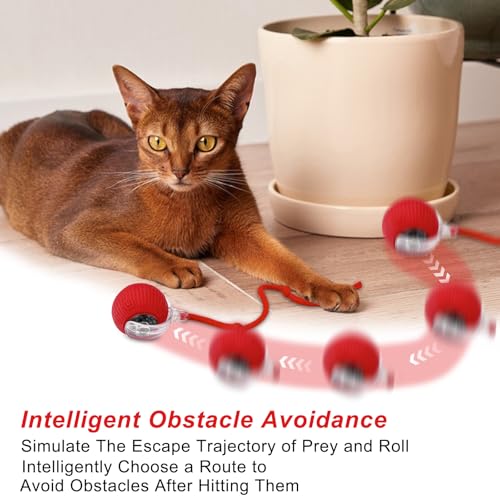 WinGluge 2 Pièces Jouet Interactif pour Chat, Jouet Intelligent pour Chat, Balle Intelligente pour Chats, Cat Toy Ball, Balle Roulante Automatique pour Chats Et Chiens (Rouge+Vert) – Image 5