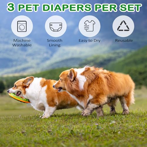 Dalephoric 3 Stück Hundewindeln für Rüden, Wiederverwendbare Hundewindeln, Größe L, Taillenumfang 50–62 cm, Rüdenwindel, Windeln für Männliche Hunde, Waschbar (Schwarz, Grün, Grau)