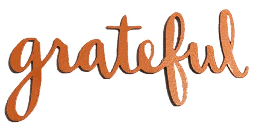 Roeda Brighten Your Life 13748O Grateful Word Magnet in Orange Made in USA