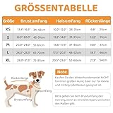 Queenmore Wintermantel Hund Wasserdicht Hundemantel Winter Kleine Hunde Warme Fleecemantel Hundejacke Quilten Hundebekleidung Hundepullover Für Dackel Chihuahua Pudel Bulldogge Beagle, Blau, S