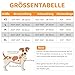 Queenmore Wintermantel Hund Wasserdicht Hundemantel Winter Kleine Hunde Warme Fleecemantel Hundejacke Quilten Hundebekleidung Hundepullover Für Dackel Chihuahua Pudel Bulldogge Beagle, Blau, S