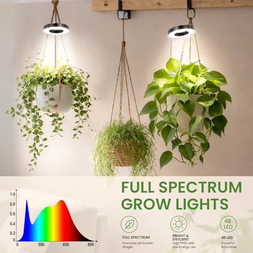 Image of LBW Grow Light for Indoor Plants, Full Spectrum Plant Light with Base, Height Adjustable Plant Growing Lamp with Auto On /Off Timer 6 /8 /12 /16H,3 Colors,5 Dimming Levels, for Small Plants, Black,5 packs