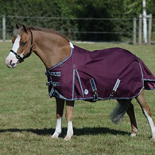 Weatherbeeta Comfitec Plus Dynamic 198 cm, la couverture haut de gamme bordeaux et gris - 3