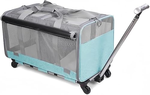 RutexcԍڗpP[W ܂肽ݎ gь^ ^p ybgobO e ybg̊OoEsɂǂSĂ߂