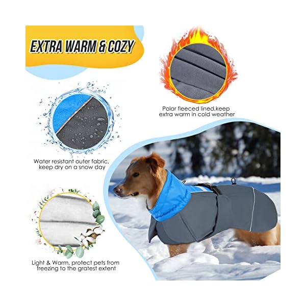 SlowTon Dog Winter Coat, Adjustable Warm Fleece Lining Dog Jacket with Leash Opening Reflective Stripe, Windproof Cold Weather Dog Vest Dog Apparel for Medium Large Dogs (Blue,XL) SlowTon Dog Winter Coat, Adjustable Warm Fleece Lining Dog Jacket with Leash Opening Reflective Stripe, Windproof Cold Weather Dog Vest Dog Apparel for Medium Large Dogs (Blue,XL)