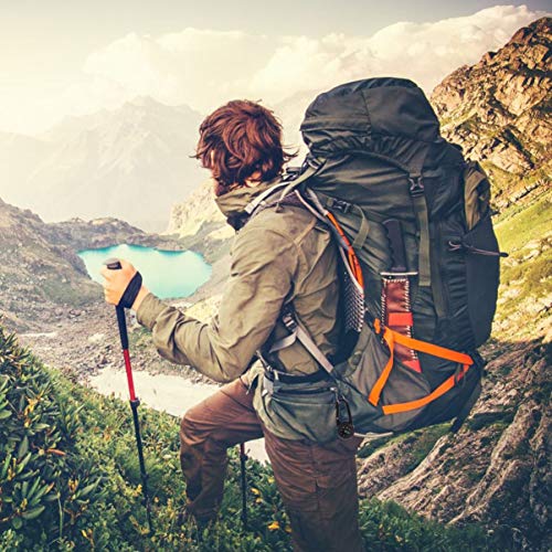 Toyvian 5 peças Mosquetão Bússola Clipe de liga para escaladas, montanhismo, rede, acampamento, equi