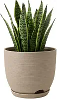 Vaso Polietileno Cor Bege Para Plantas Jardim Sala Luxo escovado bojo pequeno Com Prato