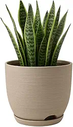 Vaso Polietileno Cor Bege Para Plantas Jardim Sala Luxo escovado bojo pequeno Com Prato