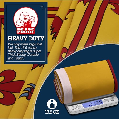 Drapeau Lion rampant Écosse indéchirable résistant au vent double face Anley - 3