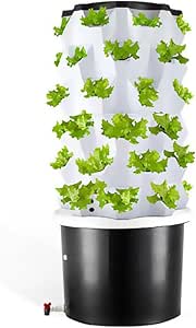 10 Vasi Quadrati Per Idroponica 10 Litri - Con Aperture Laterali E Fessure Per Irrigazione, UV Resistente