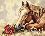 FFDONGTEGO Knüpfteppich Für Erwachsene Kinder,Tiere,Pferde und Blumen,Tapisserie Teppich Zum Selber Knüpfen Kissenbezug DIY Handarbeit Selbst Kreuzstich Set Knüpfen Set,52x38cm