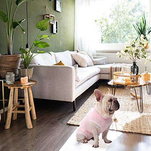Image of SAWMONG Dog Recovery Suit, Recovery Suit for Dogs After Surgery, Dog Spay Surgical Suit for Female Dogs, Dog Onesie Bodysuit for Surgery Male Substitute E-Collar Cone, Pink, Large
