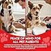 Styptic Powder for Dogs–Quick Stop Bleeding for Dogs Nails, Minor Cuts, Scratches–Blood Stop Powder with Herbal Support,Gentle & Sting-Free–5.3 oz Styptic Powder for Grooming,Vets,Pet First Aid Kits