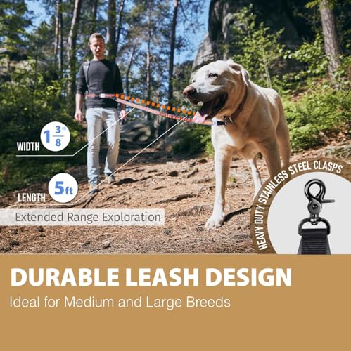 JC HOUSE Hands Free Dog Leash with Waist Belt Lifetime Replacement, Dual Handle Bungee Leash for Running, Jogging, Hiking and Walking, for Medium and Large Dogs 5518 - Thumbnail 4