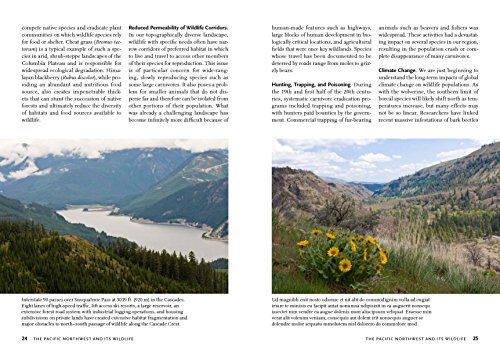 Wildlife Of The Pacific Northwest: Tracking And Identifying Mammals, Birds, Reptiles, Amphibians, And Invertebrates (A Timber Press Field Guide) #TOP4