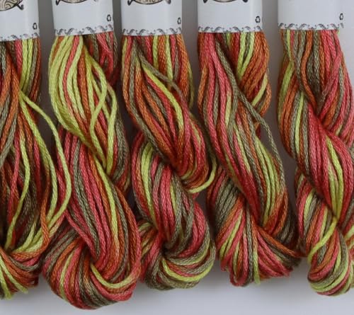 Image of KCS Big skeins of 25 Meters Size 25 Color Variegated Cross Stitch Stranded Threads,6 skeins,4510
