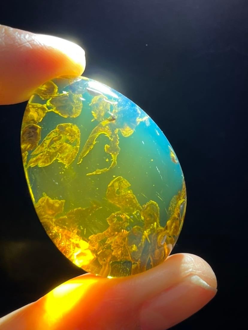 Burmese burmite Cretaceous Rare Beautiful Landscape Plant Fossil Amber Myanmar