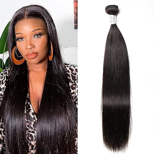 Maxine Hair Bundles Human Hair Brazilian Virgin Hair Straight Bundles Double Weft Human Hair Weave 20 Inch (95g/Bundle) Natural Color 1 Bundle (20Inch)