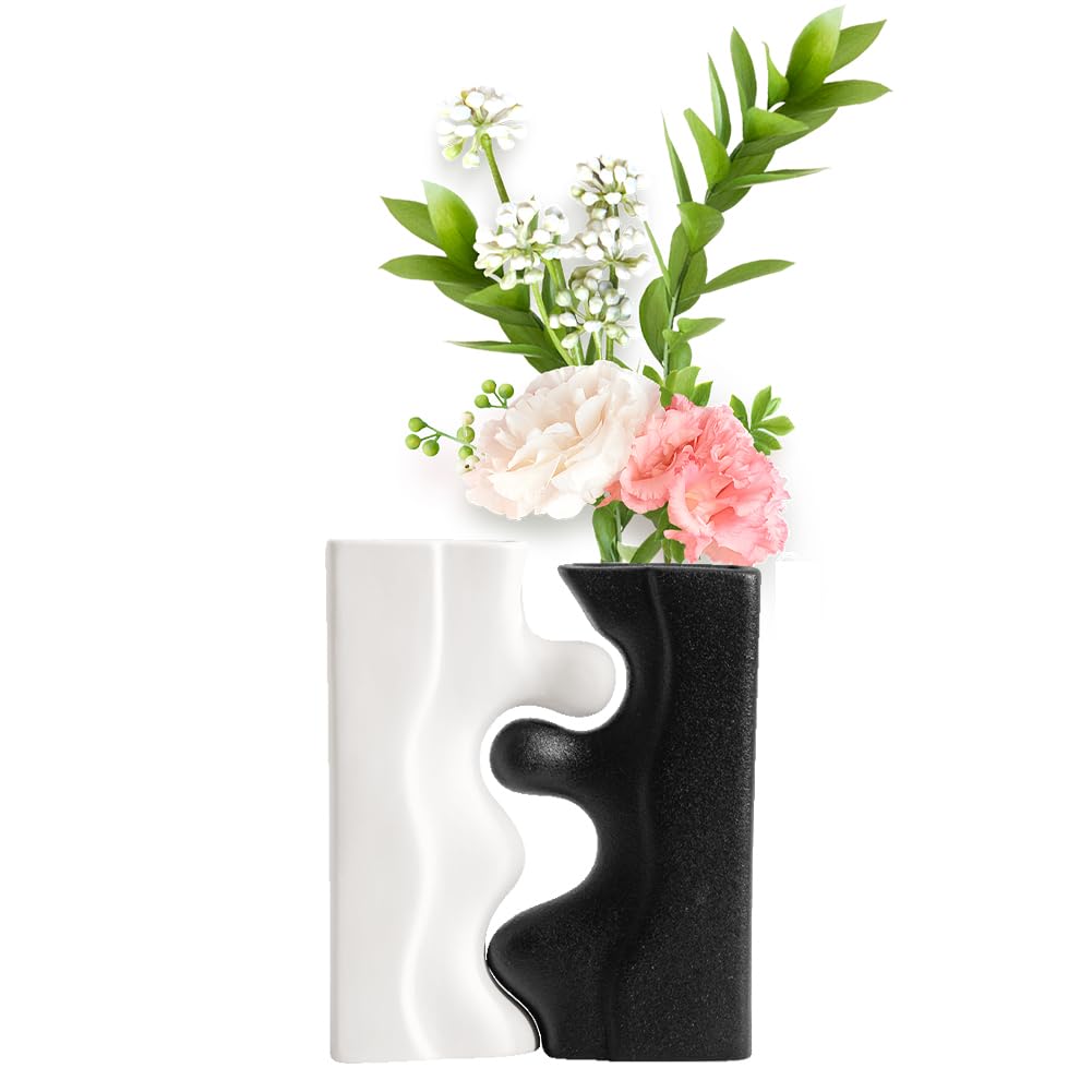Ceramic Vase Matt, Set of 2 Ceramic Vases for Pampas Grass Modern Home Decor