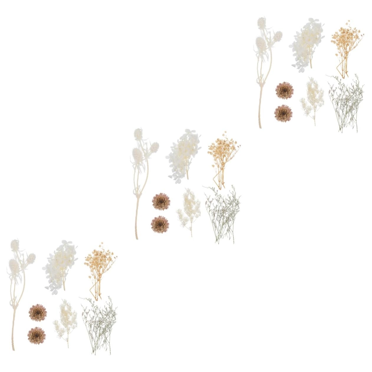 PRETYZOOM 3 Set L'immortalità Dei Fiori Secchi Fiori Secchi Per Nail Art Fiori in Rilievo Fiore Essiccato Fai Da Te Fiore Fai Da Te Pressato Multiplo Boho ， Bianca