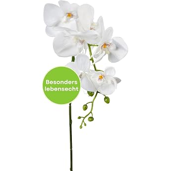 Stylish Phalaenopsis Artificial Orchid 86 cm in White I Artificial Orchids Like Real with Lifelike Flowers I Easy Care & Deceptively Real Artificial Flowers I Ideal as Flower Decoration