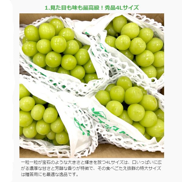 シャインマスカット 8房 5kg 秀品